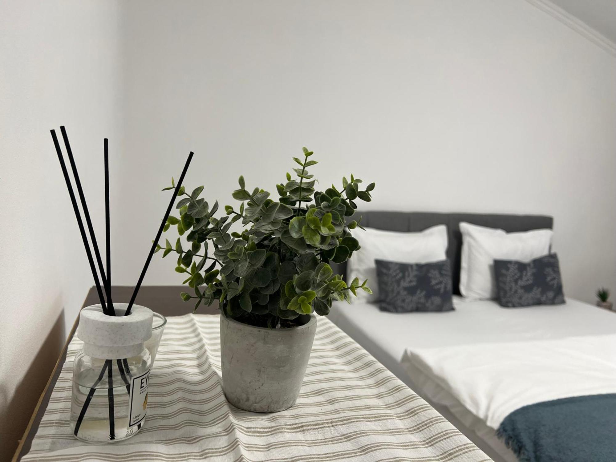 Ndl Downtown Lägenhet Cluj-Napoca Exteriör bild